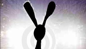 a rabbit caught in the headlights.jpeg