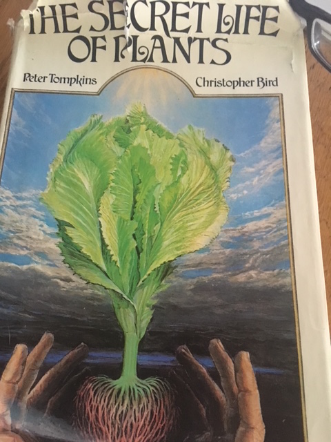 The Secret lIfe of Plants