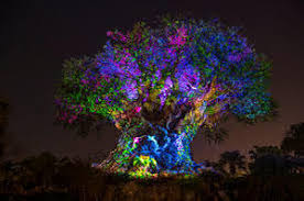 The Tree of Life