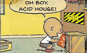 Acid house.jpeg